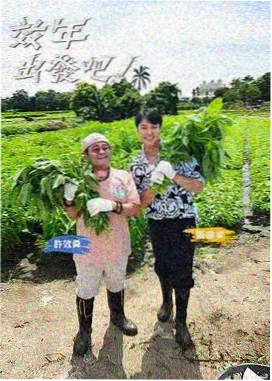 季播综艺剪辑节奏推荐缩略图